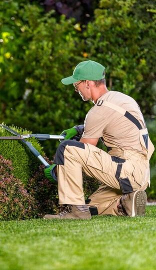 Heroscene15-ezgif.com-resize (3) Gärtner